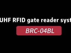 Sistema portale del controllo di accesso del portone del lettore/RFID di frequenza ultraelevata RFID della struttura di BRC-04BL