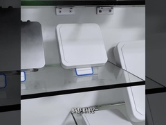 Lettore RFID UHF a lungo raggio BRD-KH02 / lettore integrato RFID UHF con antenna 6dbi Distanza di lettura 6M